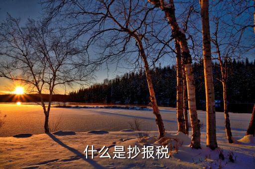 什么是抄稅報稅申報，抄稅和報稅是什么意思 應(yīng)該怎么做呢