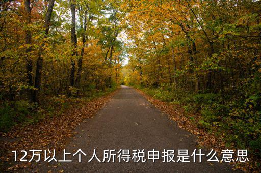 12萬以上個(gè)人所得稅申報(bào)是什么意思