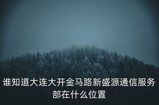 信息服務部可以叫什么地方，誰知道大連大開金馬路新盛源通信服務部在什么位置
