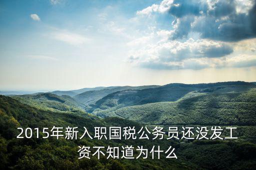 2015年新入職國(guó)稅公務(wù)員還沒發(fā)工資不知道為什么