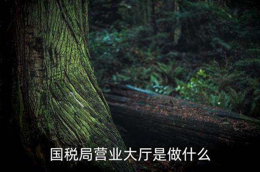 國稅局營業(yè)大廳是做什么