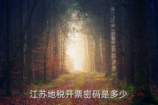 江蘇地稅開票密碼是多少