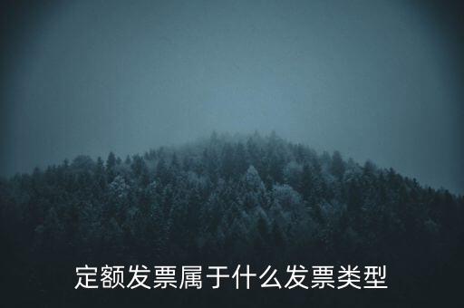 定額發(fā)票什么，河南省地稅定額發(fā)票怎么查詢