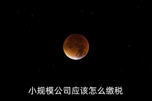 小規(guī)模公司按什么交稅嗎，一個(gè)小規(guī)模納稅公司國稅和地稅應(yīng)該都分別交什么稅