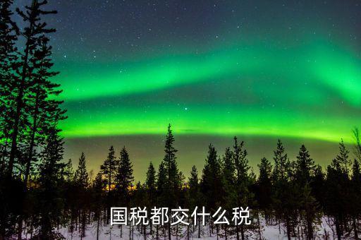 國稅稅費是什么，國稅都交什么稅
