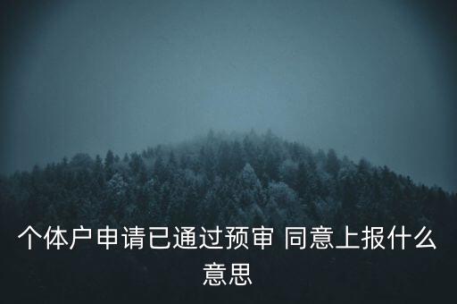 個(gè)體戶申請(qǐng)已通過預(yù)審 同意上報(bào)什么意思