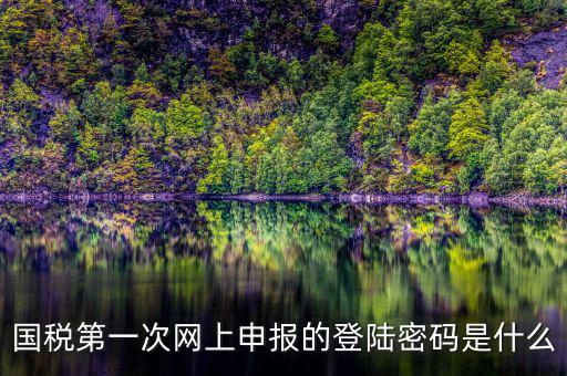 國稅第一次網(wǎng)上申報的登陸密碼是什么