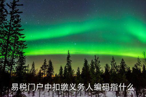扣繳義務(wù)人識別碼是什么，易稅門戶中扣繳義務(wù)人編碼指什么
