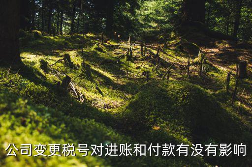 換稅號注意什么，公司變更稅號對進(jìn)賬和付款有沒有影響