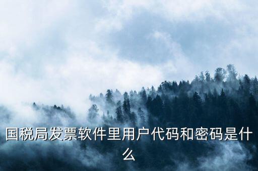 網(wǎng)上認(rèn)證發(fā)票平臺(tái)密碼是什么樣的，國(guó)稅局發(fā)票軟件里用戶代碼和密碼是什么