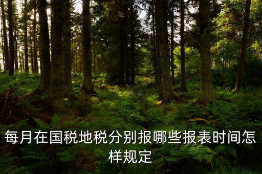 每月在國(guó)稅地稅分別報(bào)哪些報(bào)表時(shí)間怎樣規(guī)定