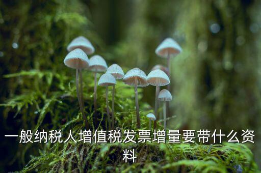 增加開票人需要什么資料，申請開票人變更需要哪些材料