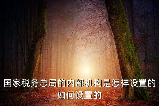 國家稅務總局的內(nèi)部機構是怎樣設置的如何設置的