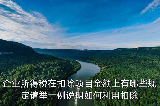扣除項目金額是什么，應(yīng)稅服務(wù)扣除項目清單中允許扣除項目金額指的是什么是總