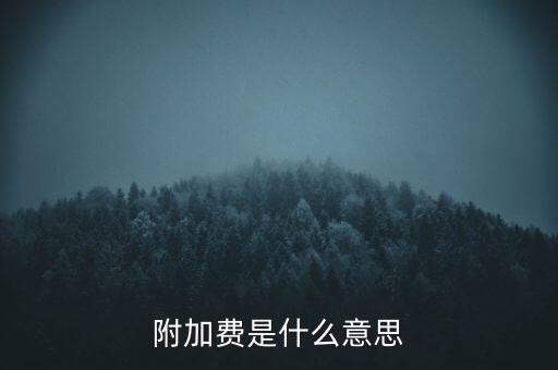 附加費是什么意思