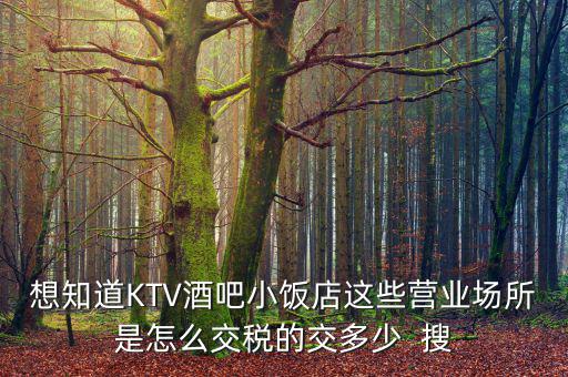 ktv交納什么稅，想知道KTV酒吧小飯店這些營業(yè)場所是怎么交稅的交多少  搜