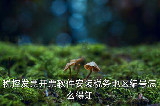 發(fā)票地區(qū)編號(hào)填什么，稅控發(fā)票開票軟件安裝稅務(wù)地區(qū)編號(hào)怎么得知