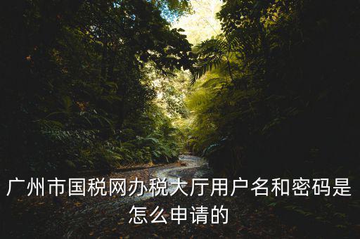 廣州國稅官網(wǎng)登錄密碼是什么原因，國稅第一次網(wǎng)上申報(bào)的登陸密碼是什么