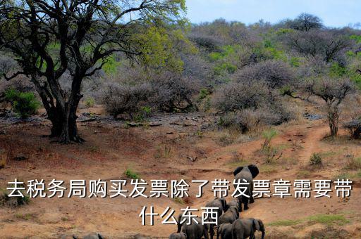 購(gòu)發(fā)票需要什么資料，個(gè)人購(gòu)物開增值稅普通發(fā)票需要什么資料