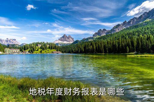 地稅年度財務報表是哪些