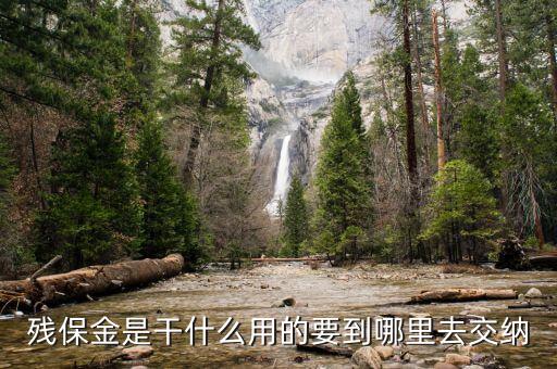 殘疾人保障金干什么用，殘疾就業(yè)保帳金是干什么的