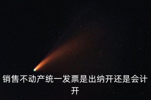 銷(xiāo)售不動(dòng)產(chǎn)統(tǒng)一發(fā)票是出納開(kāi)還是會(huì)計(jì)開(kāi)