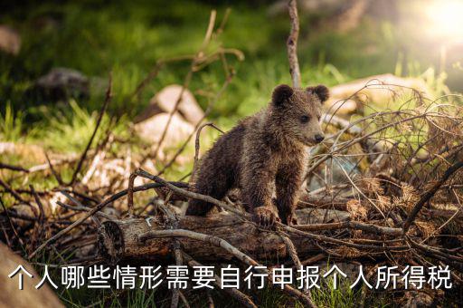 什么人申報個稅，個人哪些情形需要自行申報個人所得稅