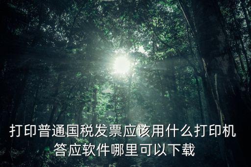 打國稅發(fā)票用什么軟件，打印普通國稅發(fā)票應(yīng)該用什么打印機(jī) 答應(yīng)軟件哪里可以下載