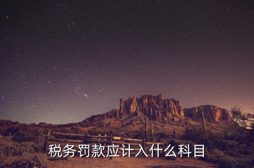稅務罰款應計入什么科目
