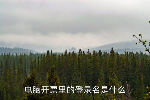 電子稅務(wù)局登錄賬號(hào)是什么意思，企業(yè)金稅盤系統(tǒng)用來開票抄稅報(bào)稅用那登錄國稅地稅局網(wǎng)站是干嘛的