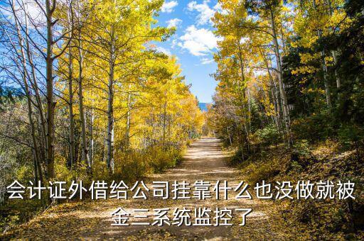 金三系統(tǒng)有什么問題，會計證外借給公司掛靠什么也沒做就被金三系統(tǒng)監(jiān)控了