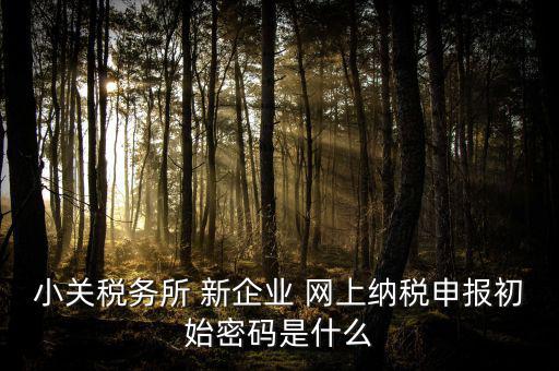 深圳國稅微信預約密碼是什么意思，小關稅務所 新企業(yè) 網(wǎng)上納稅申報初始密碼是什么
