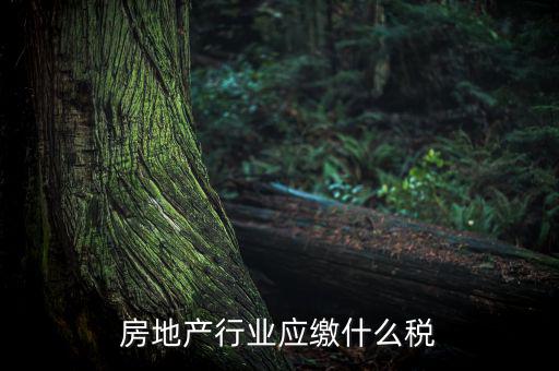 房地產(chǎn)企業(yè)要交什么稅，房地產(chǎn)行業(yè)應(yīng)繳什么稅