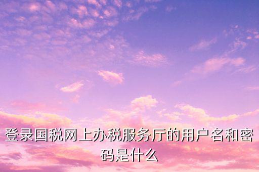 登錄國稅網上辦稅服務廳的用戶名和密碼是什么