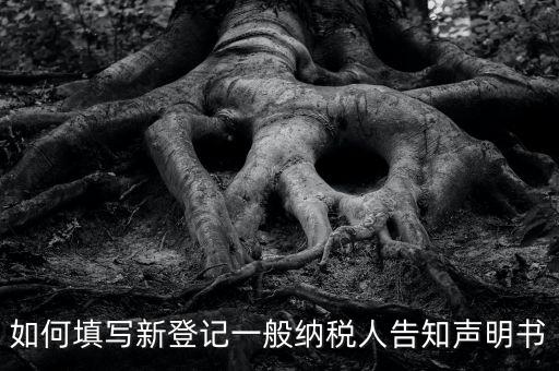 納稅人聲明是什么意思，一般納稅人申報表主表的申明人必須輸入是什么意思