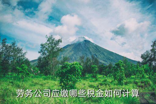 提供勞務(wù)服務(wù)交什么稅，勞務(wù)公司應(yīng)繳哪些稅金如何計(jì)算