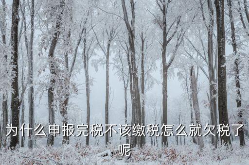 為什么國稅欠稅不催繳，因稅務機關原因未能及時繳納稅款是否屬于欠稅