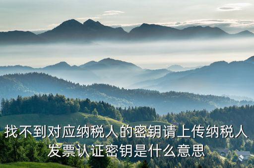 稅務(wù)的key是什么意思，國(guó)稅報(bào)稅用戶名與key不符什么意思