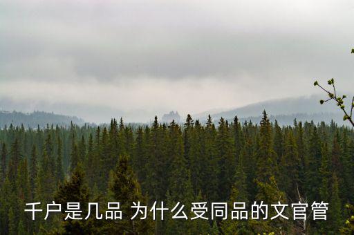 什么千戶集團，千戶是什么意思