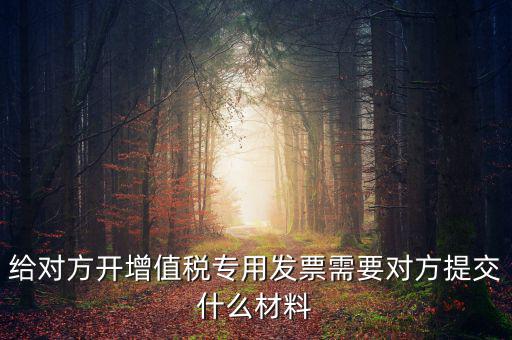 開專票要什么資料，加油卡開增值稅專用發(fā)票需要什么資料