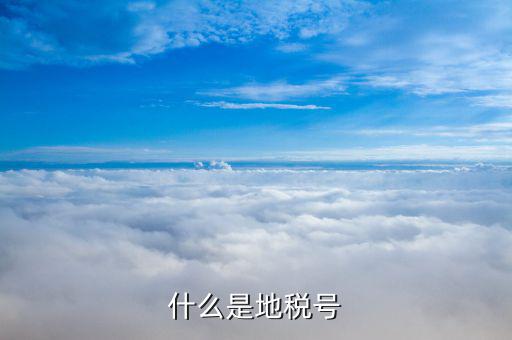 稅務(wù)賬號是什么，什么是地稅號