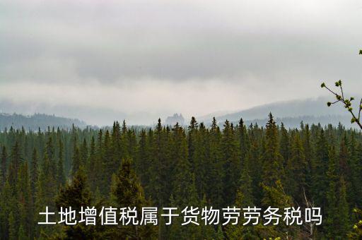 土地增值稅屬于什么稅種，土地增值稅是什么