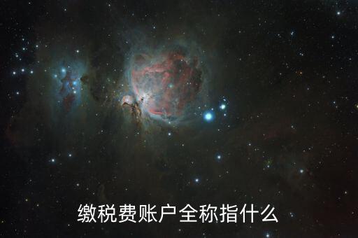 納稅賬戶是什么，我們公司申請的一個專門用來繳納稅款的賬戶是什么賬戶