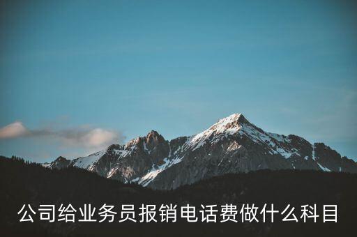 公司給業(yè)務(wù)員報銷電話費(fèi)做什么科目