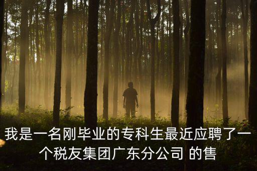 我是一名剛畢業(yè)的?？粕罱鼞?yīng)聘了一個稅友集團(tuán)廣東分公司 的售