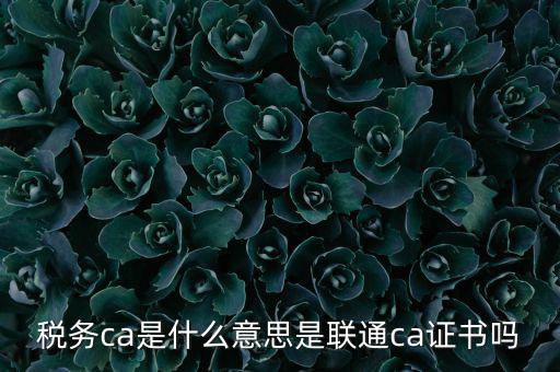 稅務(wù)ca是什么意思是聯(lián)通ca證書嗎