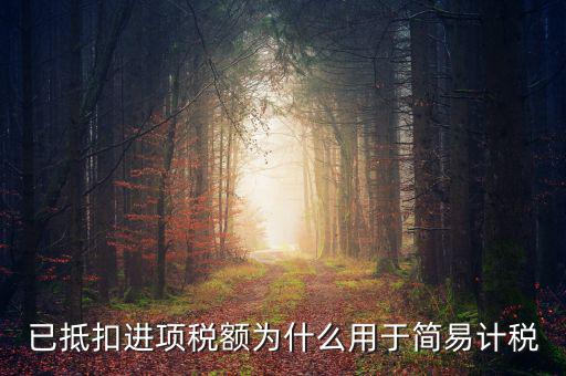 已抵扣進(jìn)項(xiàng)稅額為什么用于簡(jiǎn)易計(jì)稅