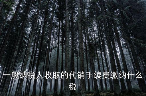 代理服務(wù)費交什么稅，一般納稅人收取的代銷手續(xù)費繳納什么稅
