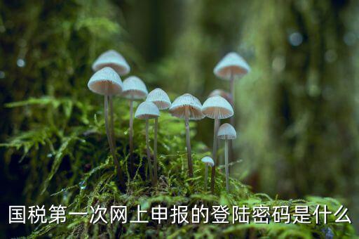 國稅登記密碼是什么，國稅第一次網(wǎng)上申報(bào)的登陸密碼是什么