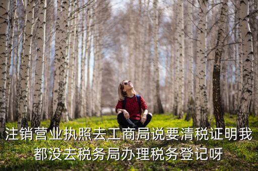 清稅證明什么樣，清稅證明可以網(wǎng)上打印嗎